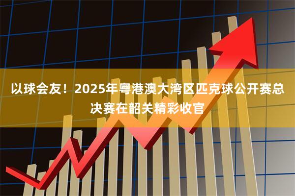 以球会友！2025年粤港澳大湾区匹克球公开赛总决赛在韶关精彩收官