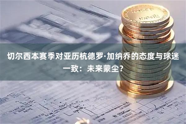 切尔西本赛季对亚历杭德罗·加纳乔的态度与球迷一致：未来蒙尘？