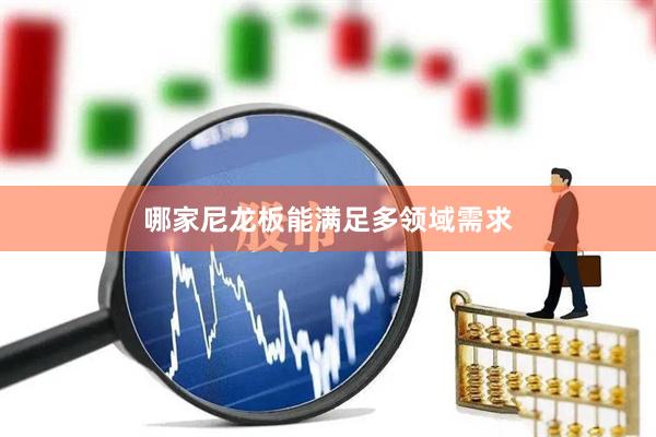 哪家尼龙板能满足多领域需求
