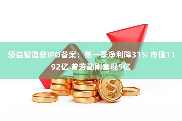 领益智造获IPO备案：第一季净利降31% 市值1192亿 曾芳勤刚套现5亿