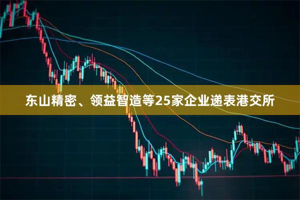 东山精密、领益智造等25家企业递表港交所