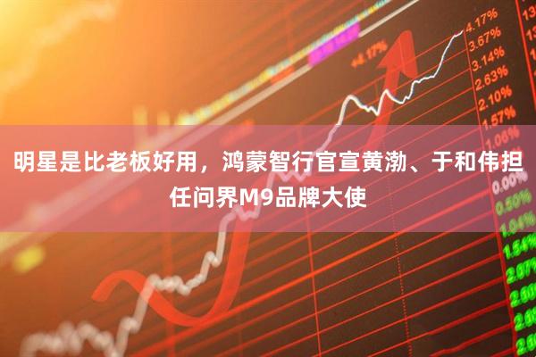 明星是比老板好用，鸿蒙智行官宣黄渤、于和伟担任问界M9品牌大使