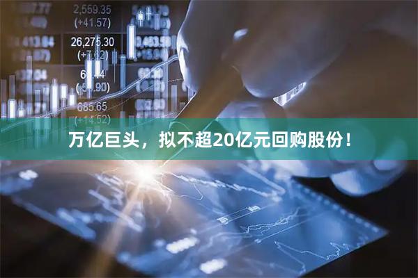 万亿巨头，拟不超20亿元回购股份！