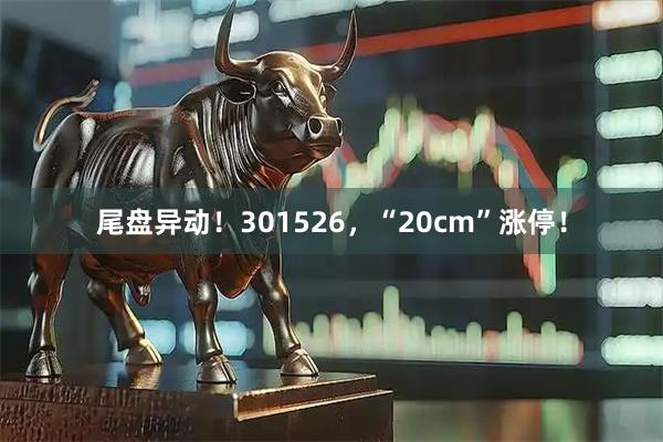 尾盘异动！301526，“20cm”涨停！